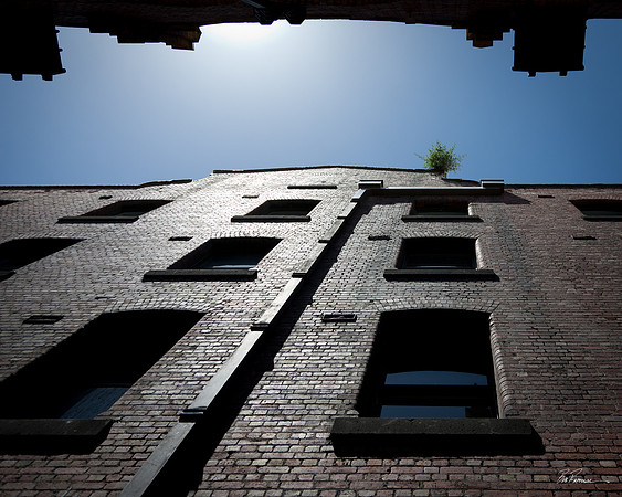Sunlit Alley in Melbourne