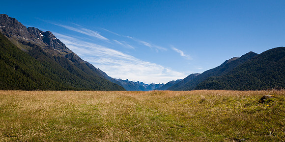 New Zealand Field
