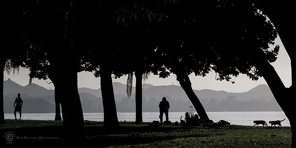 Rio Morning Silhouette II