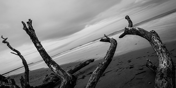 Westport Coastline II