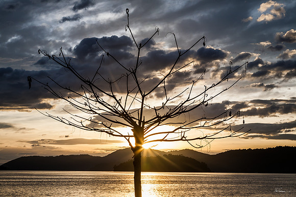 Paraty Sunrise I