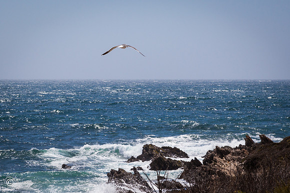 Montaña de Oro State Park VII