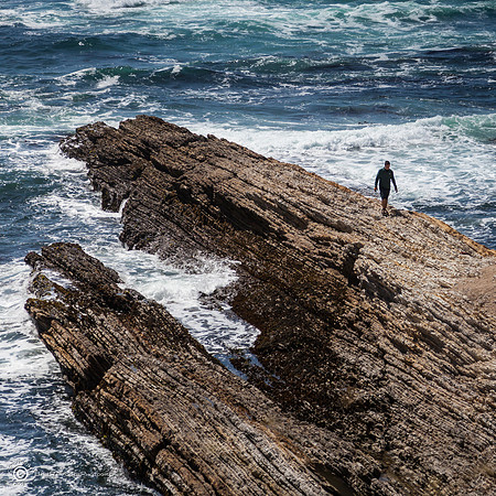 Montaña de Oro State Park X