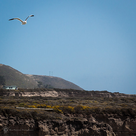 Montaña de Oro State Park IX