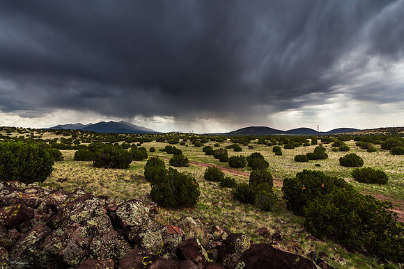 Arizona Storming