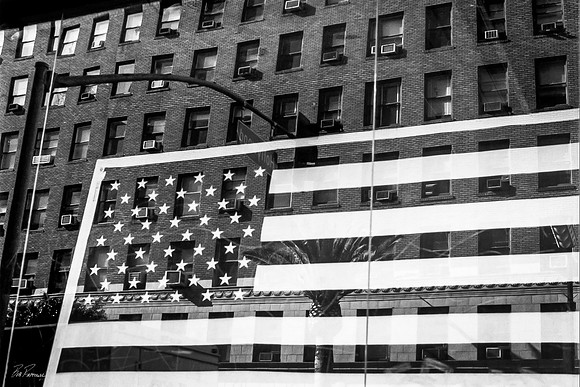 Hollywood & Vine Flag